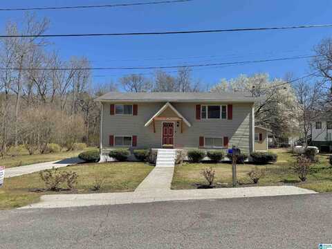 804 S 17TH STREET, PELL CITY, AL 35128