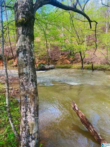 0 COUNTY ROAD 8, PIEDMONT, AL 36272