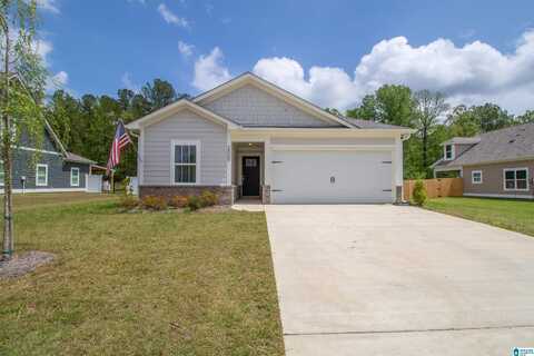 2005 BAXTER AVENUE, SPRINGVILLE, AL 35146