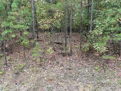14 Darro Way, Hot Springs Village, AR 71909