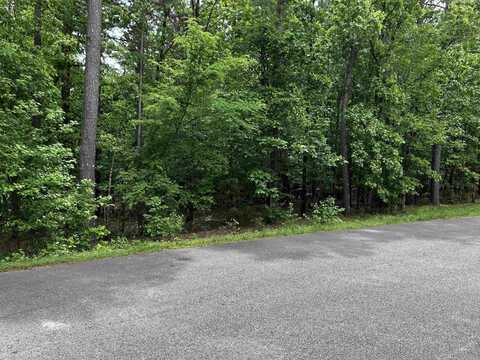 10 Purista Lane, Hot Springs Village, AR 71909