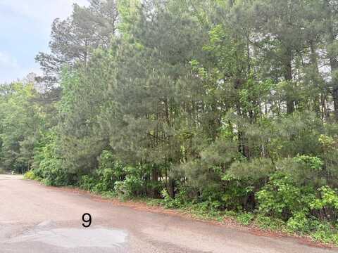 Gum Spgs (Lot 9), Monticello, AR 71655