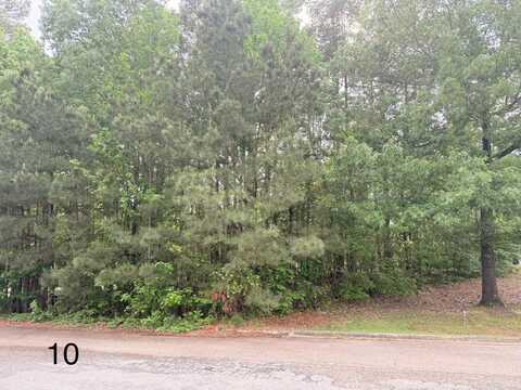 Gum Spgs (Lot 10), Monticello, AR 71655