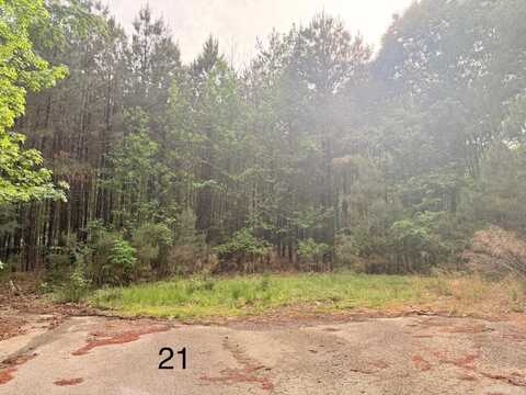 Spruce Cove (Lot 21), Monticello, AR 71655