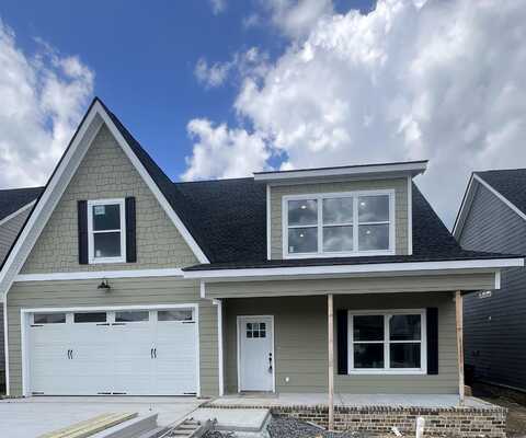 538 Willow Grove Court, Ringgold, GA 30736