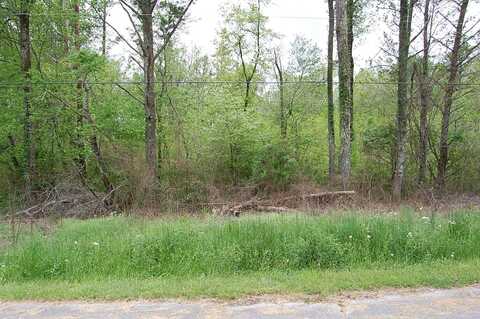 66 51st Avenue, Gruetli Laager, TN 37339