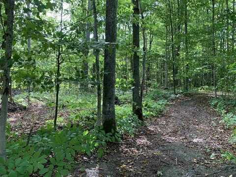 00 KEISER ROAD, MCKINLEY TWP, MI 49755