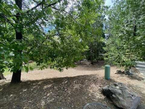 609 Forest Meadows Drive, Murphys, CA 95247