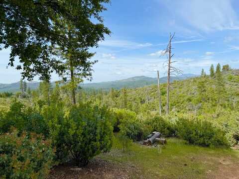 Fricot City Rd, Sheep Ranch, CA 95246