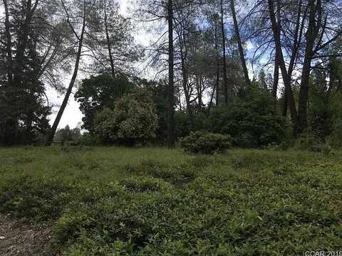 89 Forest Meadows Drive, Murphys, CA 95247