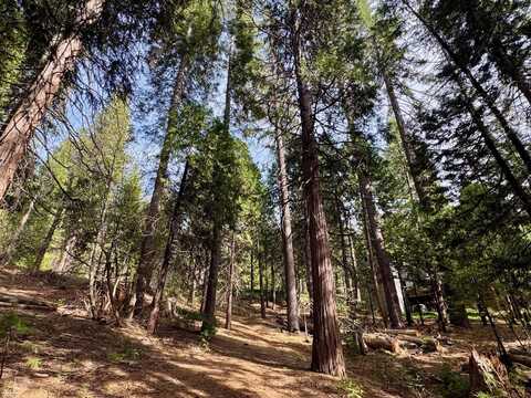 1040 Wawona Way, Arnold, CA 95223