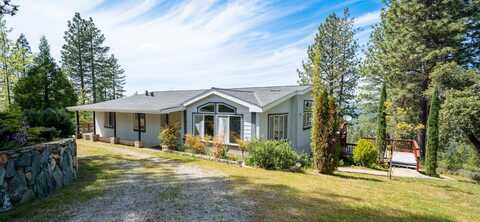 14541 Fricot City, Sheep Ranch, CA 95246