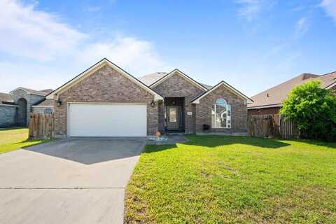 2205 Las Palmas Drive, Kingsville, TX 78363