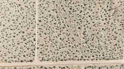 10 Sunny Sands Drive, Joshua Tree, CA 92252