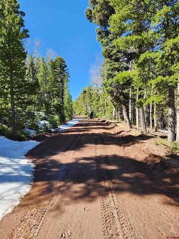 00 Special Place, Fort Garland, CO 81133