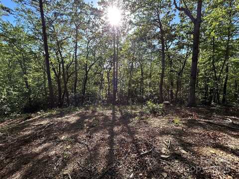 000 Jacks Paw Lane, Hendersonville, NC 28792