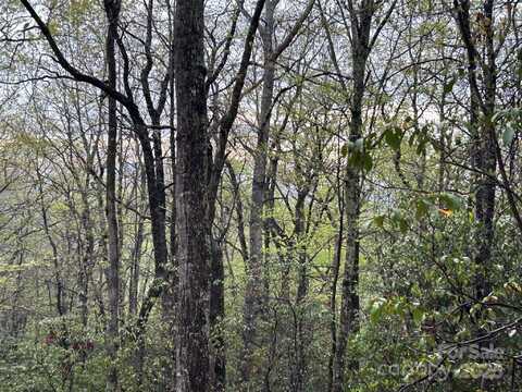 000 Jacks Paw Lane, Hendersonville, NC 28792