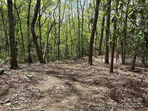 000 John Delk Road, Hendersonville, NC 28792