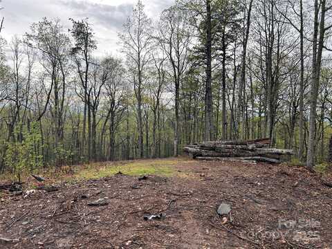000 John Delk Road, Hendersonville, NC 28792