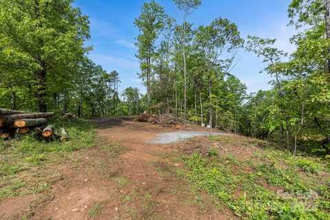 John Delk Road unit: 4, Hendersonville, NC 28792