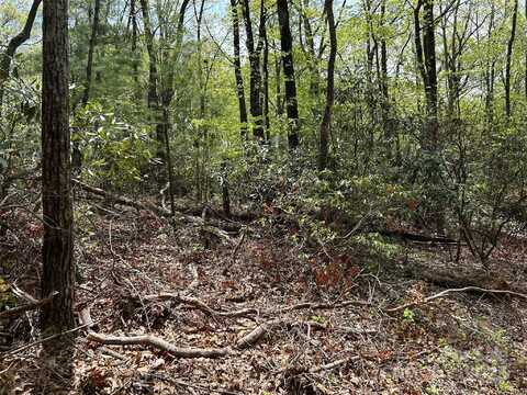 000 John Delk Road, Hendersonville, NC 28792