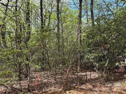 000 John Delk Road, Hendersonville, NC 28792