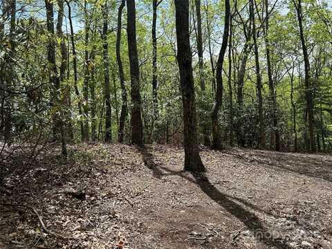 000 John Delk Road, Hendersonville, NC 28792