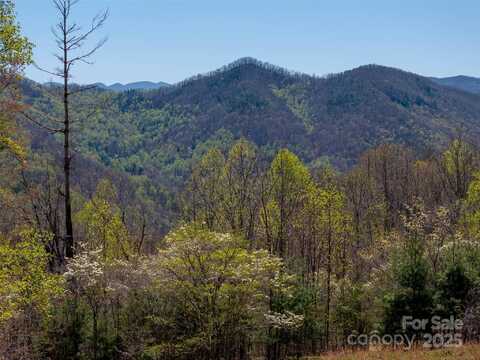 318 Brown Mountain Drive, Cullowhee, NC 28723
