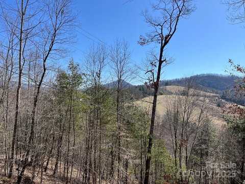 000 Trinity Place, Burnsville, NC 28714