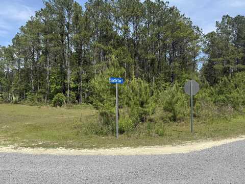 7530 Seattle Slew Court, Awendaw, SC 29429