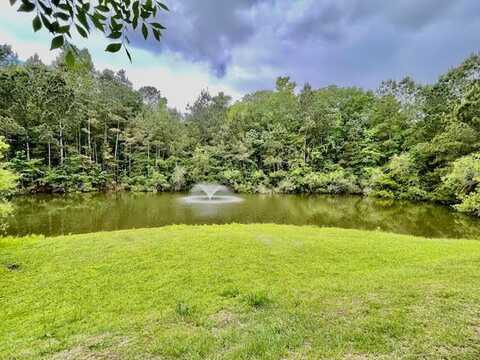 4114 Babbitt Street, Charleston, SC 29414