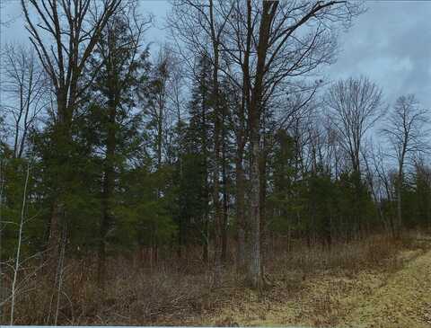 MAPLE LEAF ROAD, Marathon, WI 54448