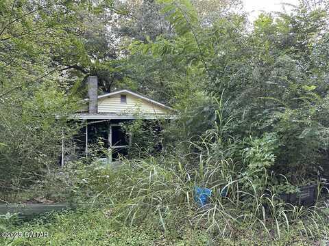 362 Chuckwood Drive, Springville, TN 38256