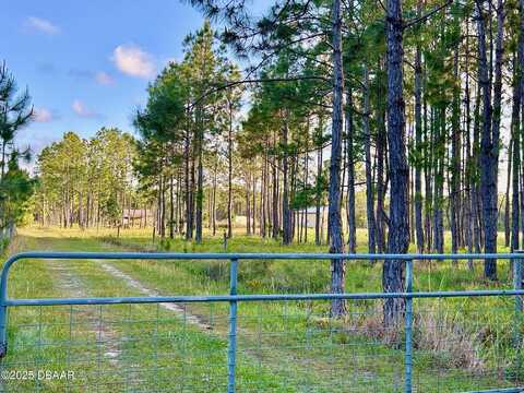 201 Wasick Lane, Ormond Beach, FL 32174