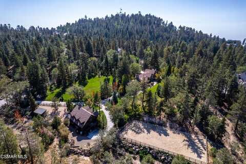 32310 Hummingbird Court, Running Springs, CA 92382
