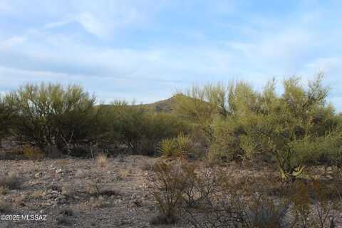12370 S Agua Verde Road, Vail, AZ 85641