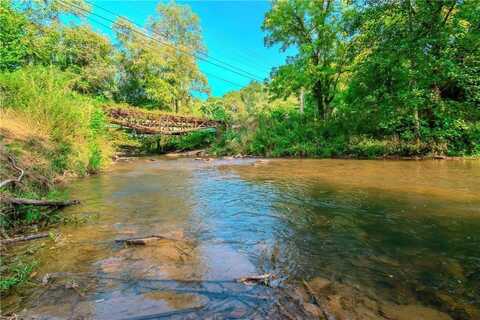 1.40 Mountain Rivers Road, Mineral Bluff, GA 30559
