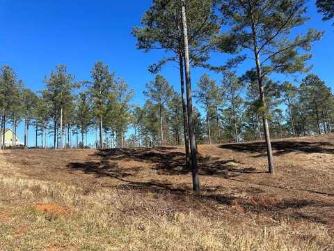 127 Hillside Lane, Ellijay, GA 30540