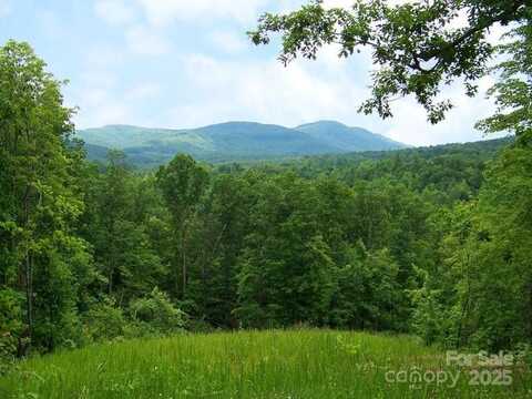 0 Sandy Creek Drive 129/131, Bostic, NC 28018