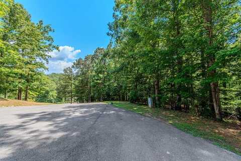 Lot 23 Fox Trail Court, Talking Rock, GA 30175