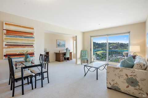 100 Thorndale Drive 322, San Rafael, CA 94903