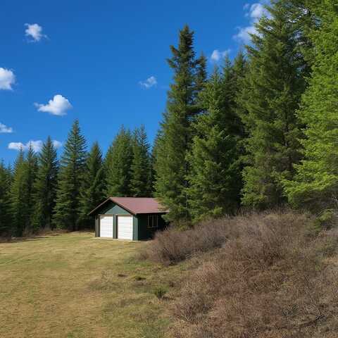 308 E Edna Mountain Road, Trego, MT 59934