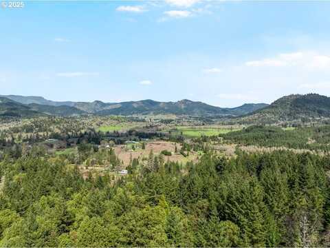 IRELAND RD, Winston, OR 97496