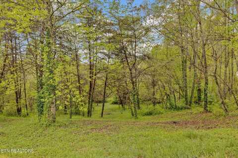 10910 Sandstone Rd Rd, Knoxville, TN 37931