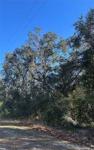 SE 18 STREET, SILVER SPRINGS, FL 34488