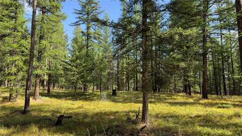 NHN Forest Loop, Eureka, MT 59917