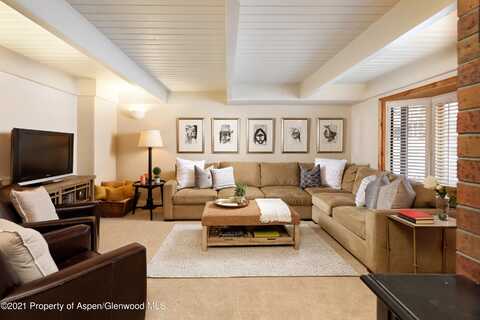 901 E Hyman Avenue 1, Aspen, CO 81611