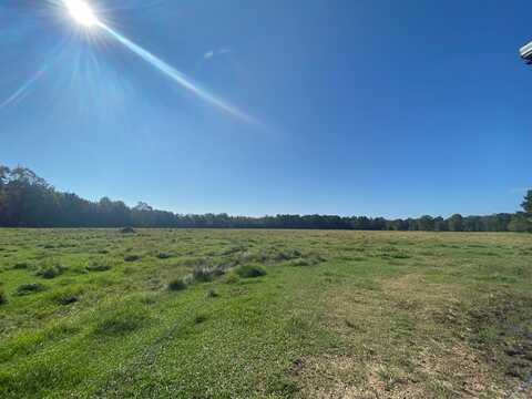 260 N Mitchel Chappel Road, Poplarville, MS 39470