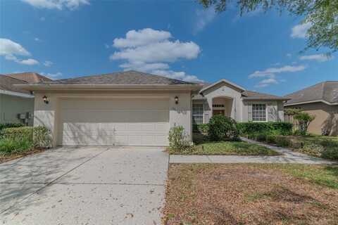 19106 ABERCORN PLACE, LUTZ, FL 33558