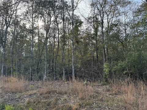 CRAWFORD Road, Pearl River, LA 70452